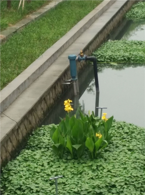 龍鐵沉水式鼓風(fēng)機