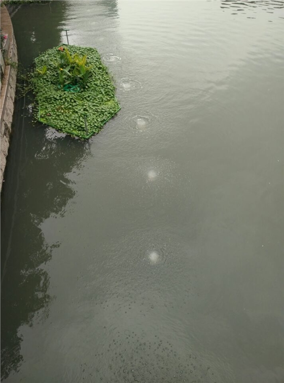 龍鐵沉水式鼓風(fēng)機廠家