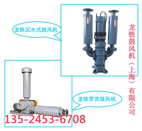 龍鐵黑臭河道治理羅茨鼓風機