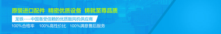 龍鐵締造100%高品質、高性價比鼓風機