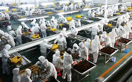 　　龍鐵鼓風機：為你的生產制造服務保障!