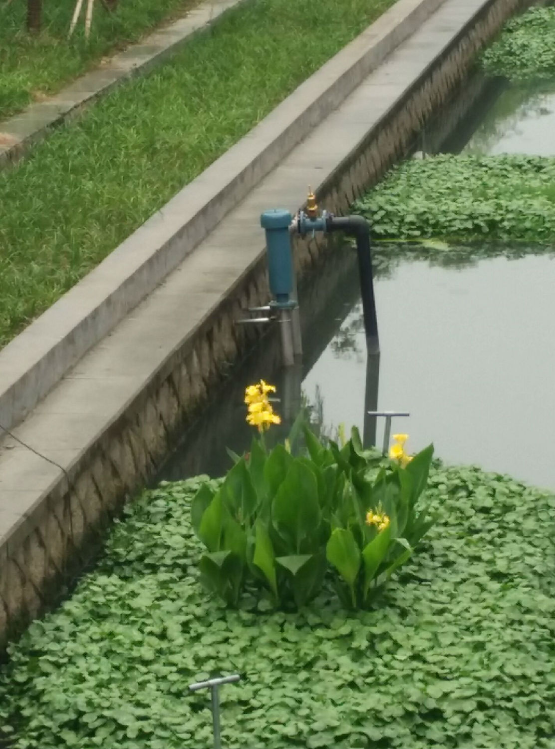 龍鐵沉水式鼓風機