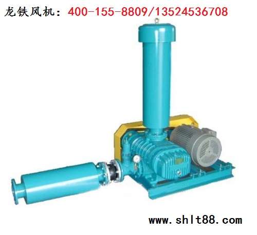 龍鐵羅茨鼓風機.jpg