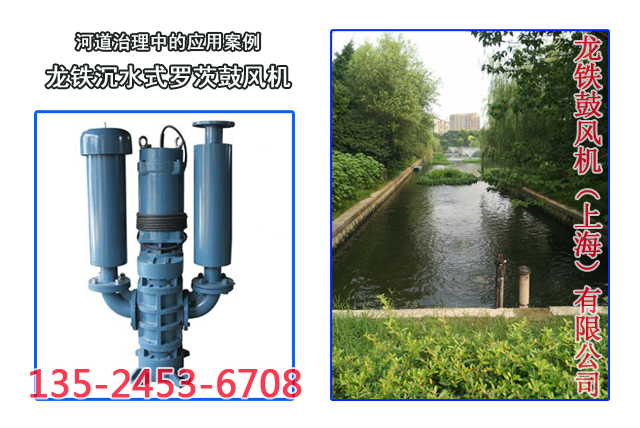 河道治理風機