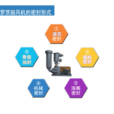 羅茨鼓風機密封形式 3.16.jpg