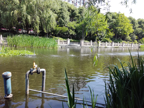 沉水風機安裝效果