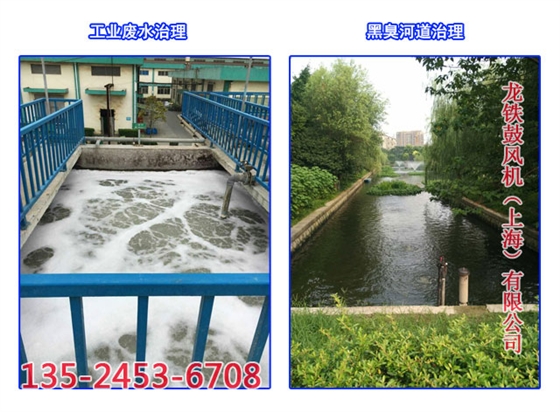沉水風機應用案例節選