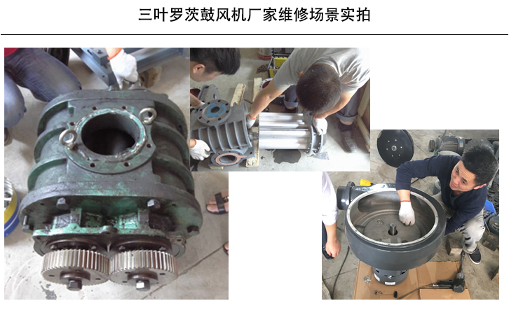三葉羅茨鼓風機維修場景