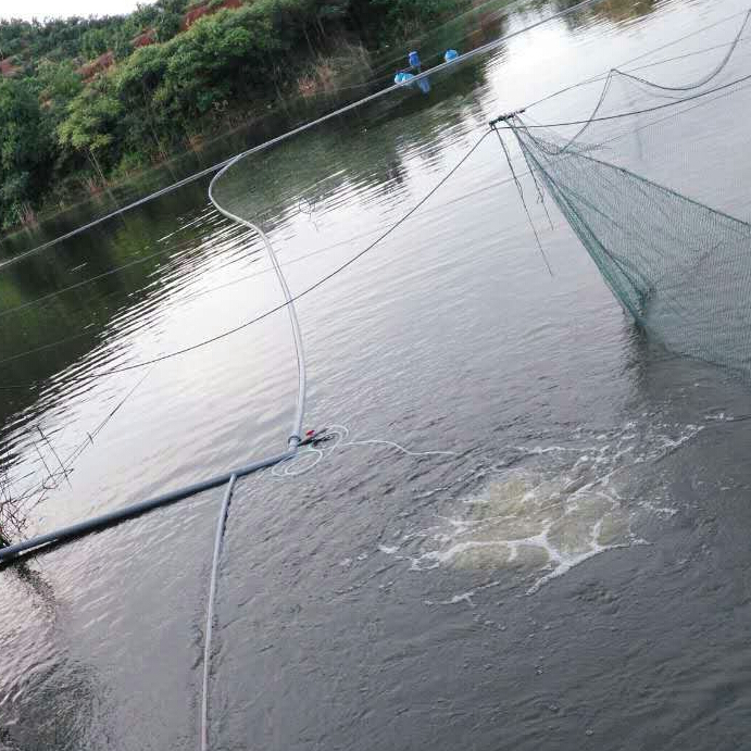 微孔曝氣增氧機養殖戶使用現場